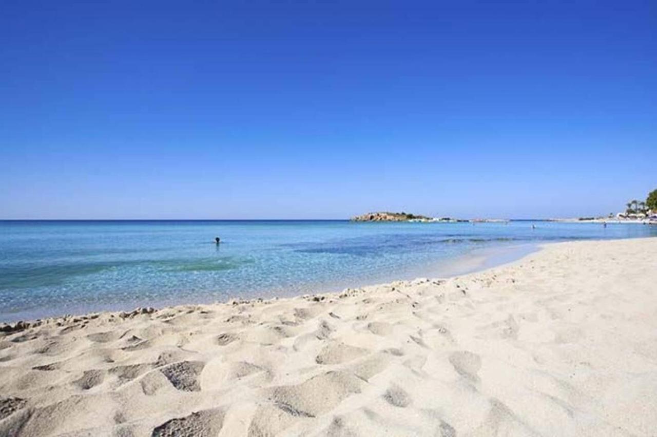 Nissi 3 Amazing Sea View Apartment 아이아 나파 외부 사진